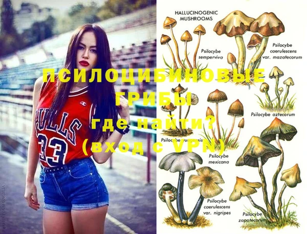 гашик Лихославль