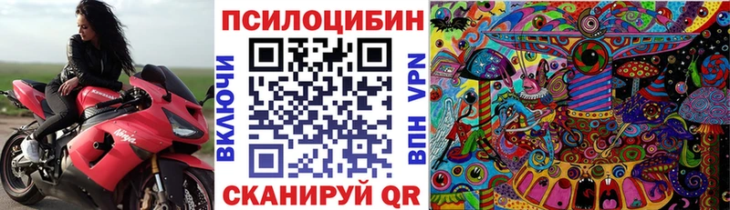 мега маркетплейс  где можно купить наркотик  Щигры  Галлюциногенные грибы Psilocybe 